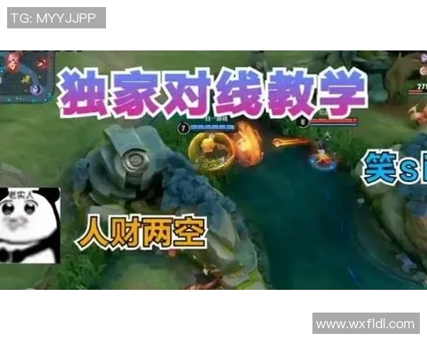 吴伟独家分享王者荣耀游戏心得与技巧助你轻松上分提升战斗力