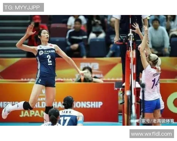 权威发布排球力量实力榜单揭示各队竞技状态与潜力分析