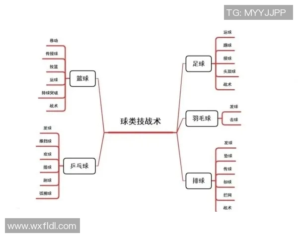 杭州排球队的转换打法深度分析与战术解读