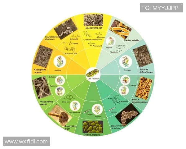 生物科技创新驱动未来发展：探索基因编辑、合成生物学与人工智能融合的前沿突破